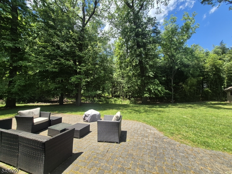 expansive backyard