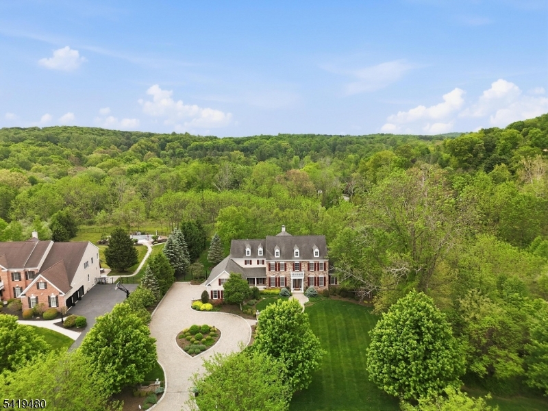 Front Aerial View