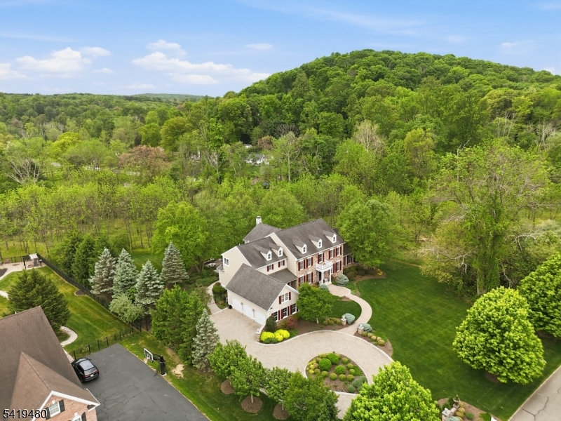 Front Aerial View