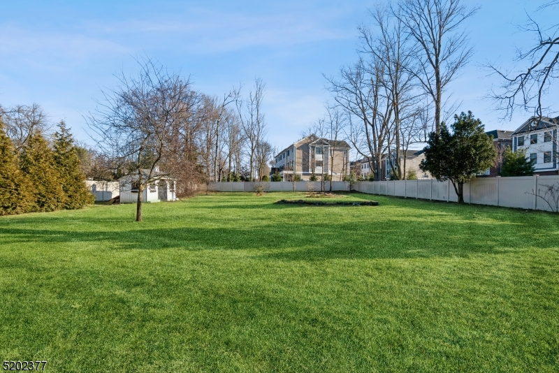 View of Back Yard
