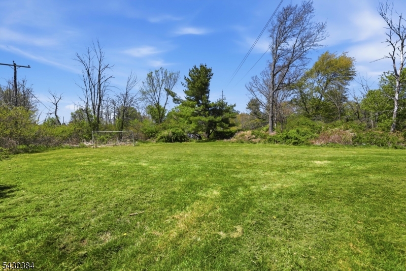 Open Backyard
