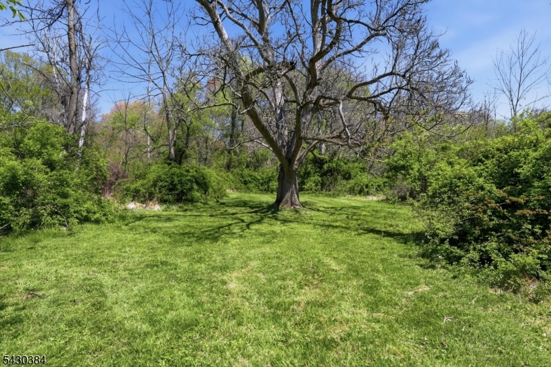 Trail to Stream
