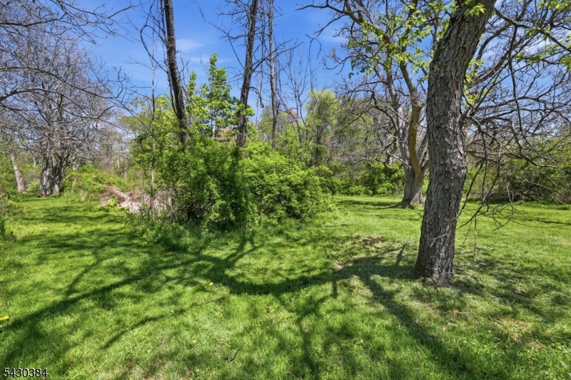 Enchanted Trail to Stream