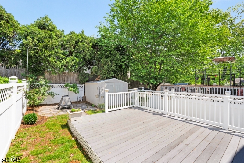 Rear Yard
