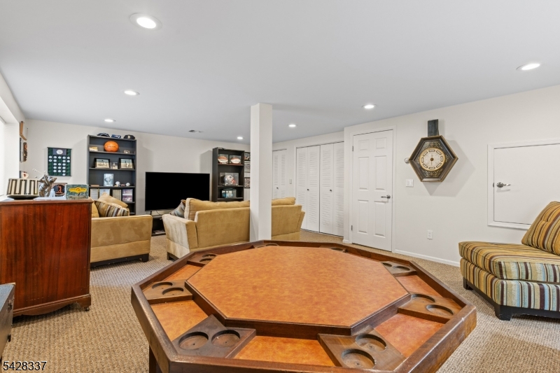 Flex Room Basement