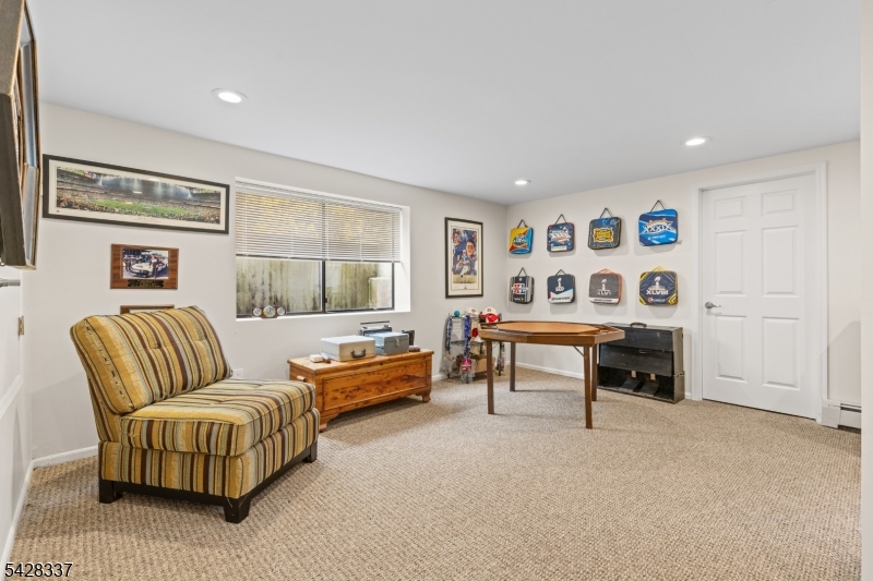 Flex Room Basement