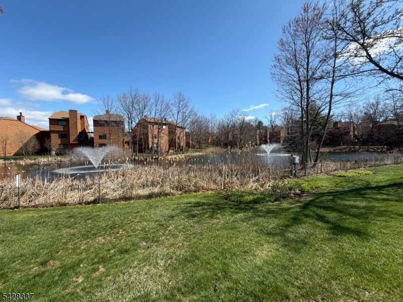 Pond