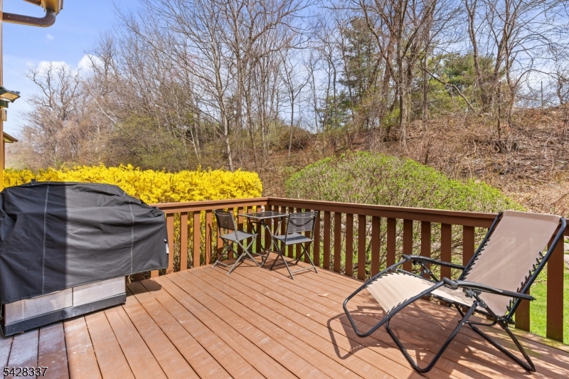 Back Deck