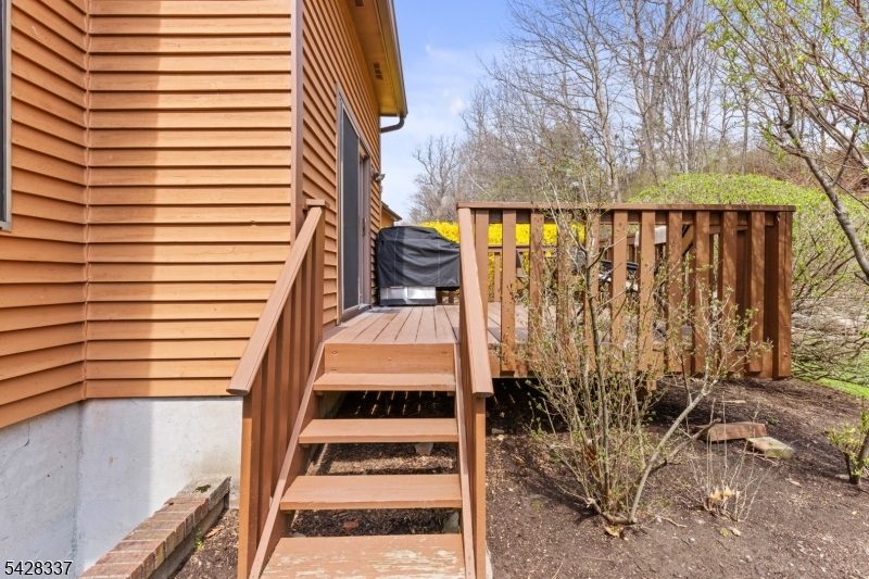 Back Deck