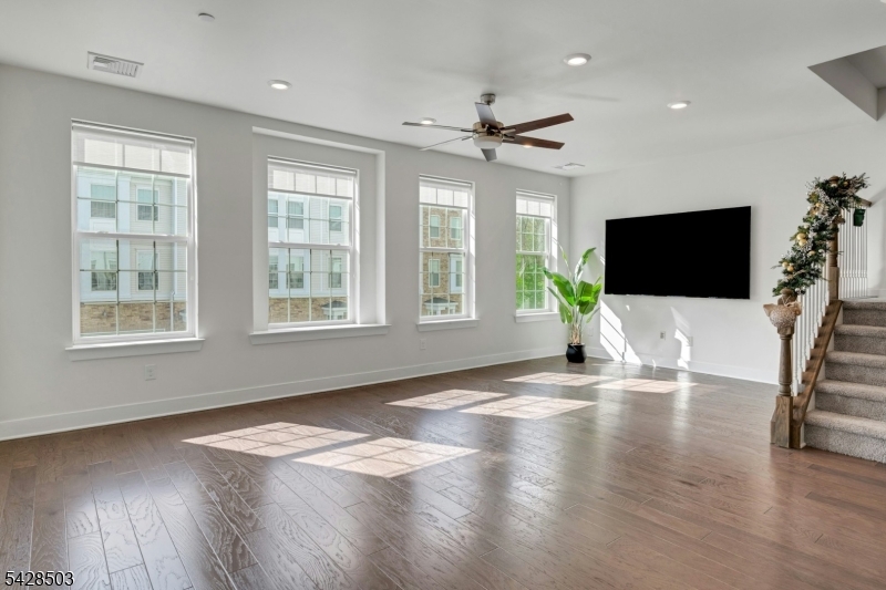 Living Room Windows