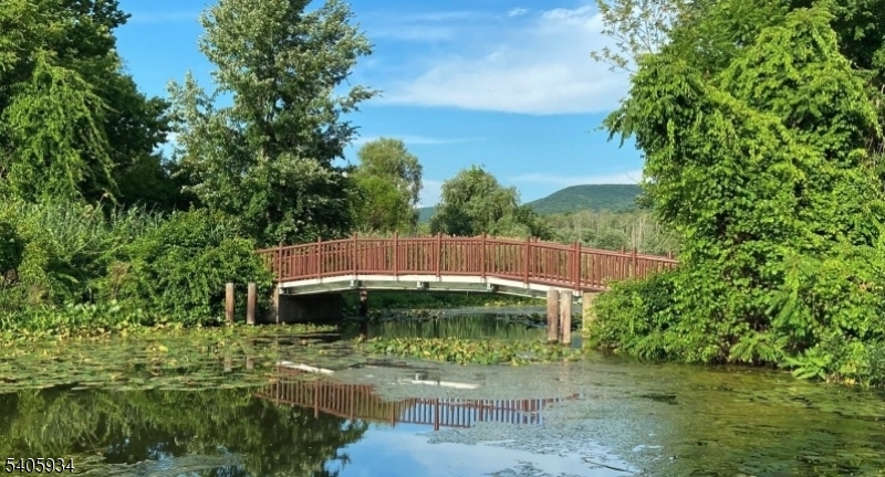 Walking Trail