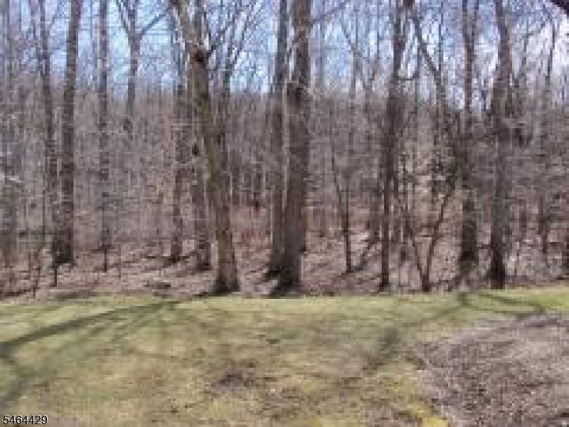 161 Woods Edge Dr