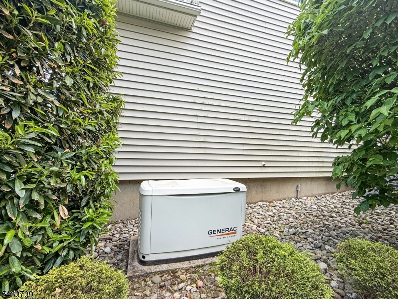 Whole House Gas Generator