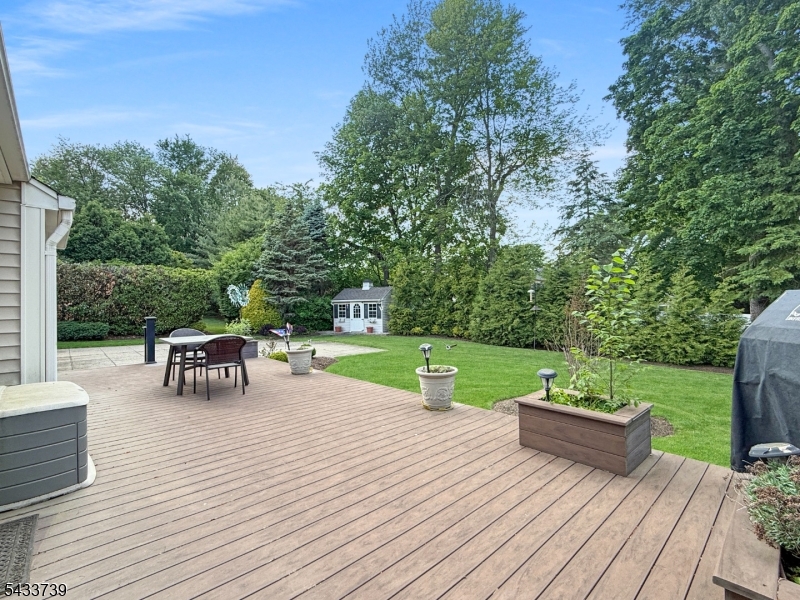 Large Trex Deck