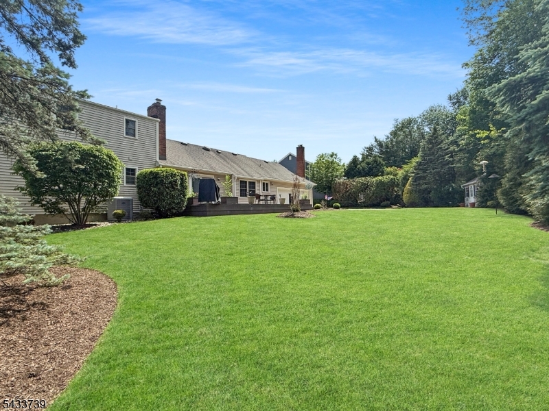 Beautiful Backyard