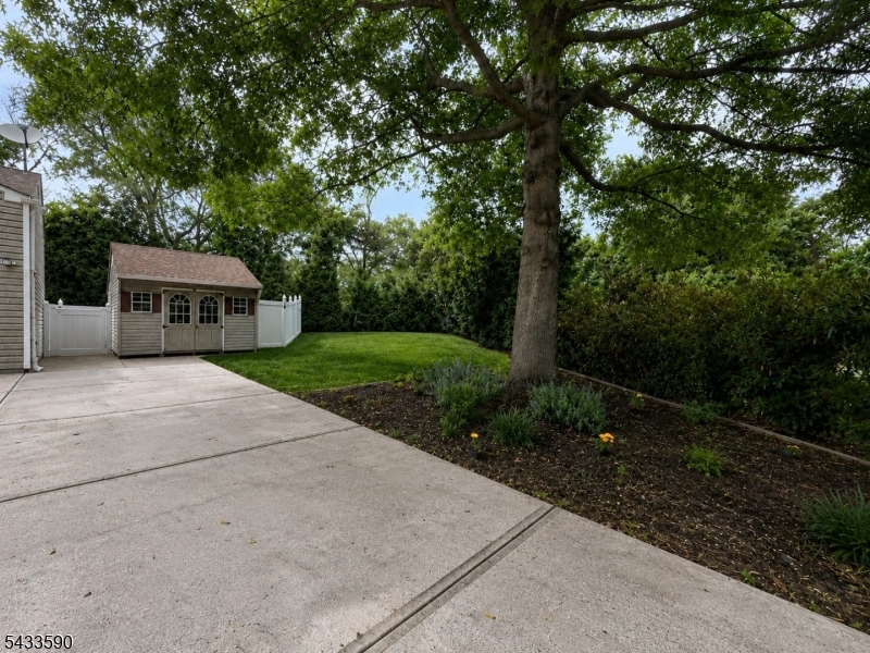 Side Yard