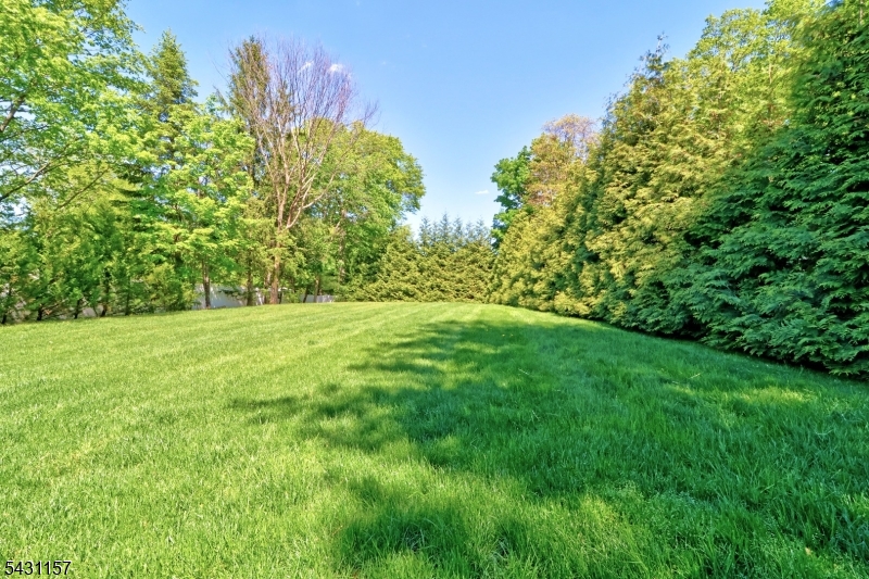Huge private yard