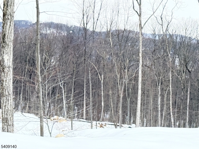 Build your dream home here!