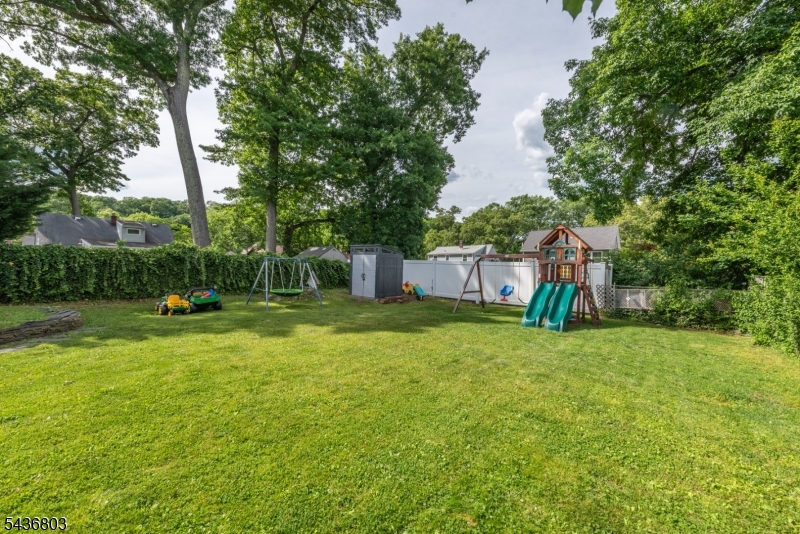 Rear Yard