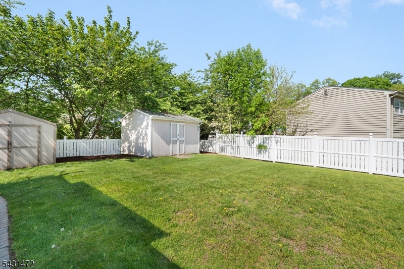 Fenced in Yard / Shed