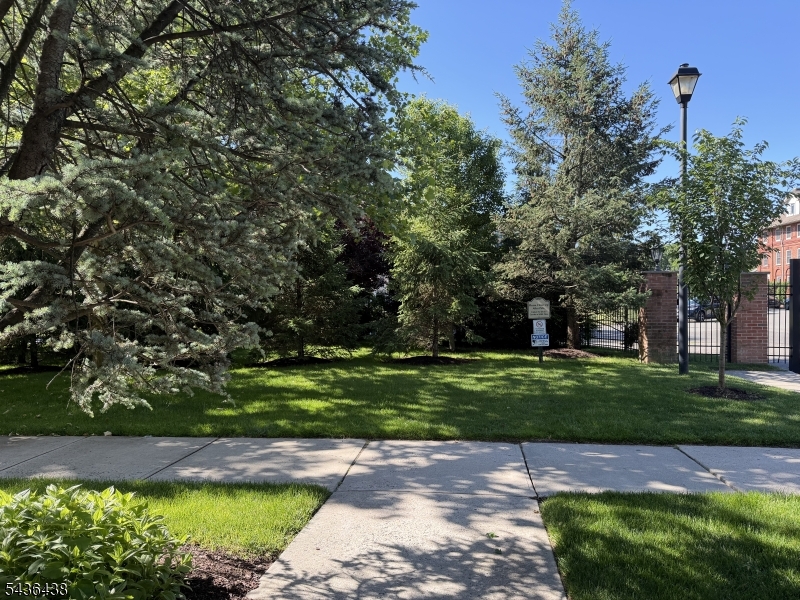 Park Like Front Yard