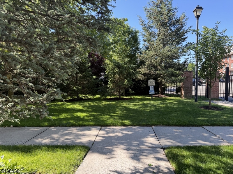 Park Like Front Yard