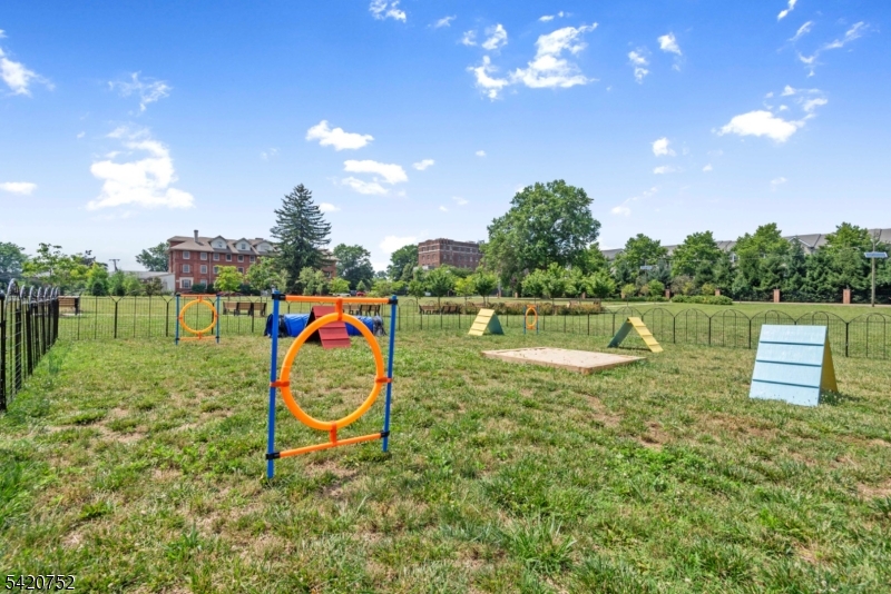 Dog Park