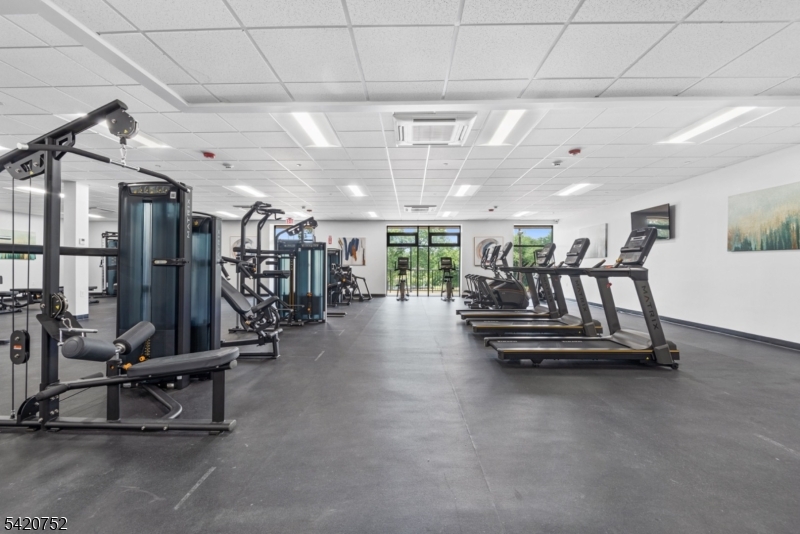 Gym 2