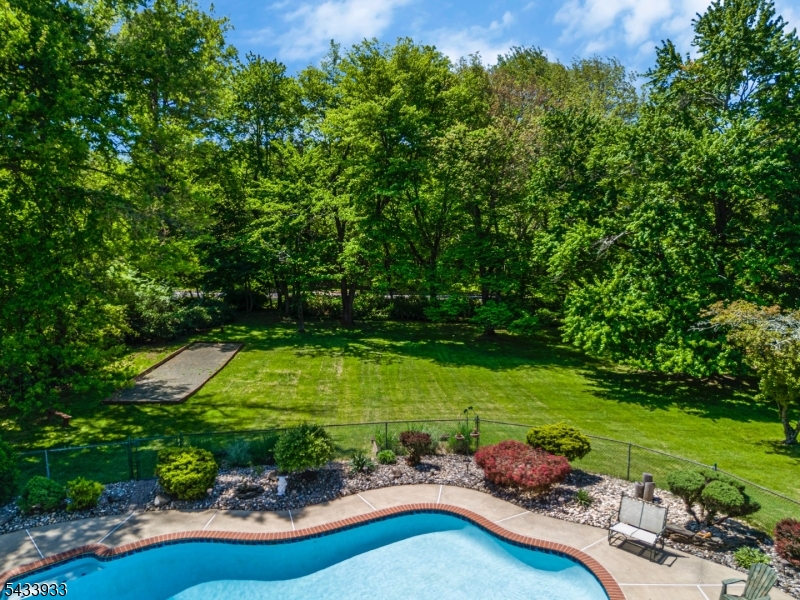 Back yard view