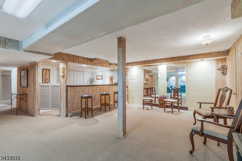 Basement/Bar area