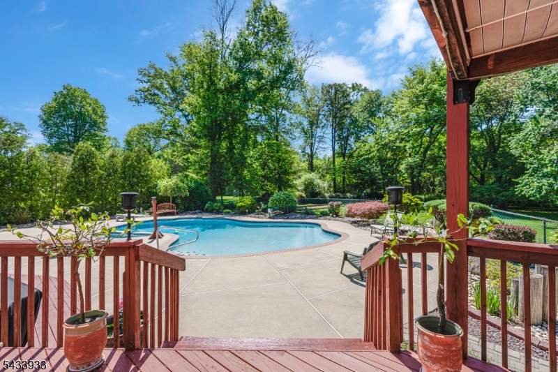 Deck/pool area