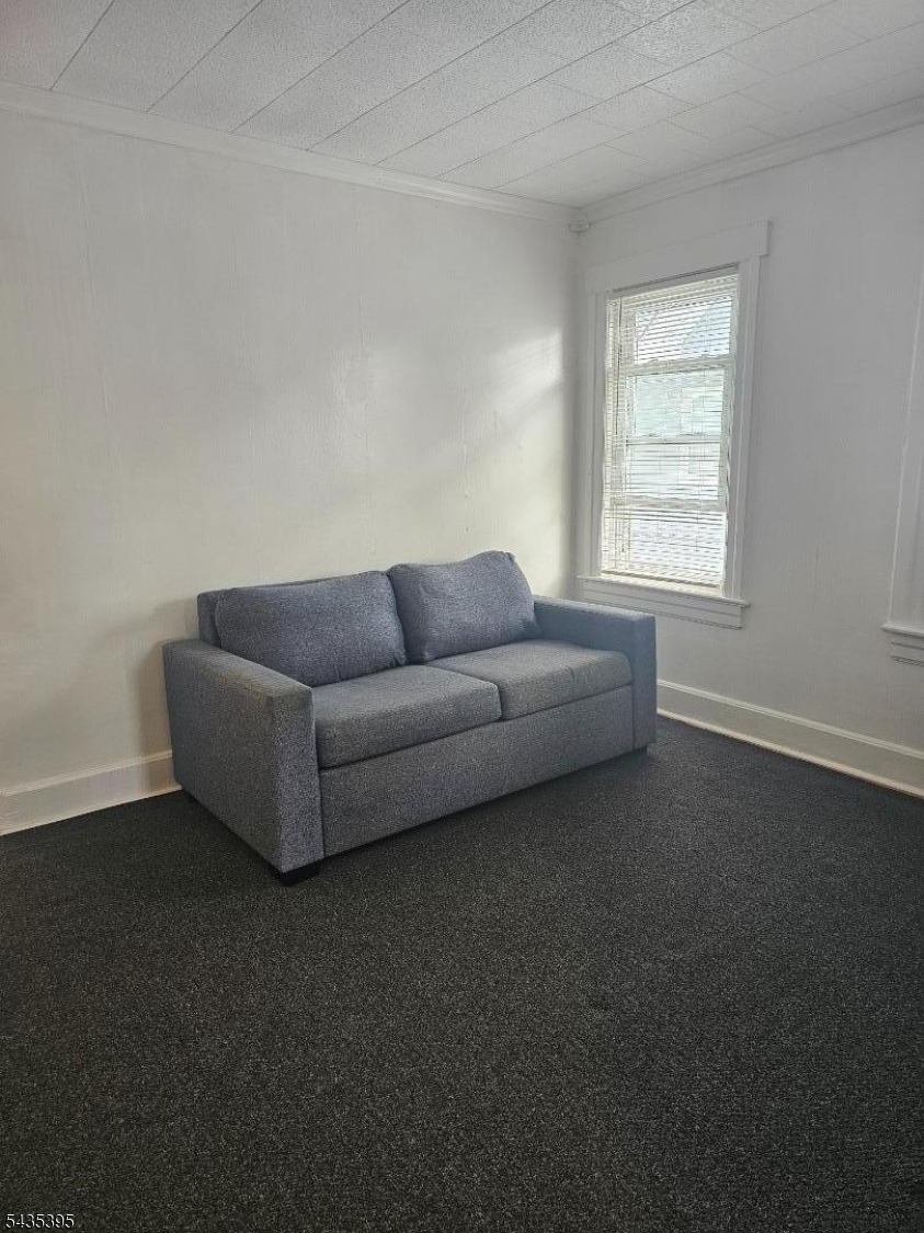 Living room with sleeper couch
