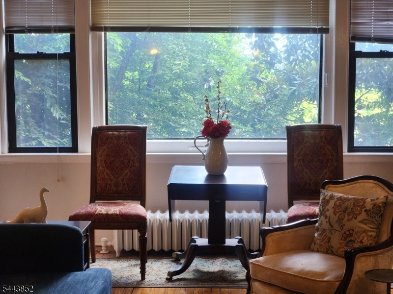363 Mt Prospect Ave 1B