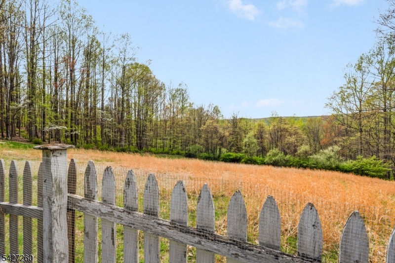 Fenced in Yard