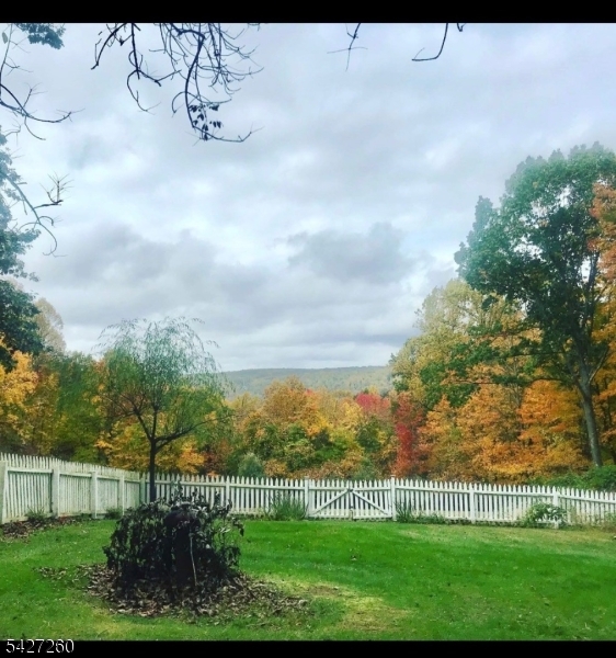 Beautiful View