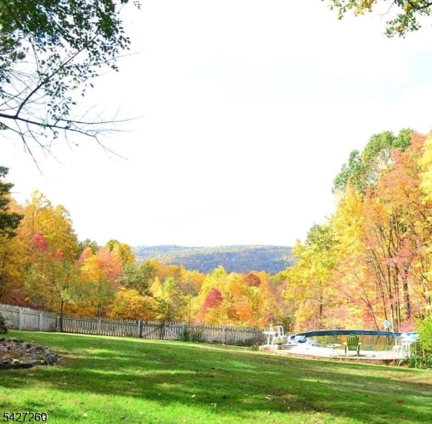 Fall