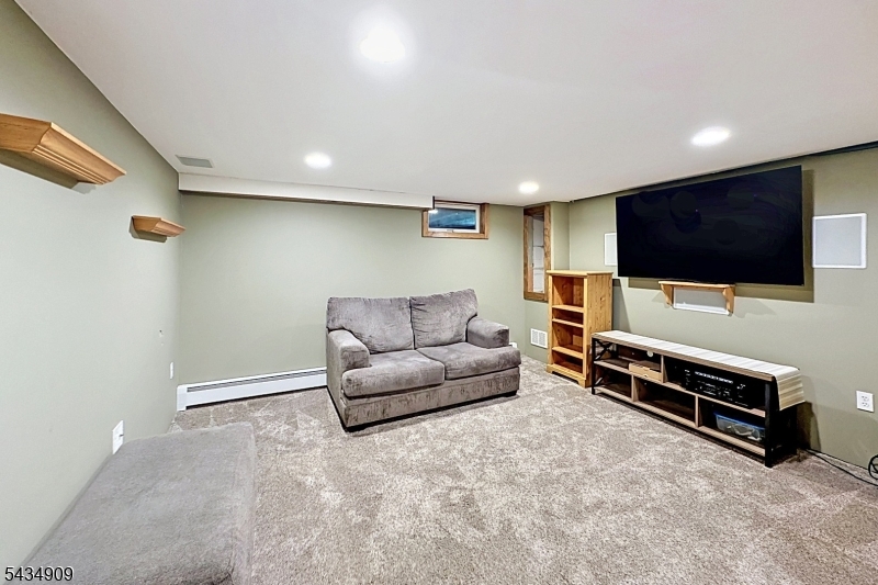 Den in Basement