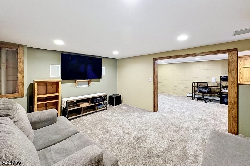 Den in Basement