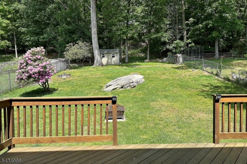 Beautiful Backyard