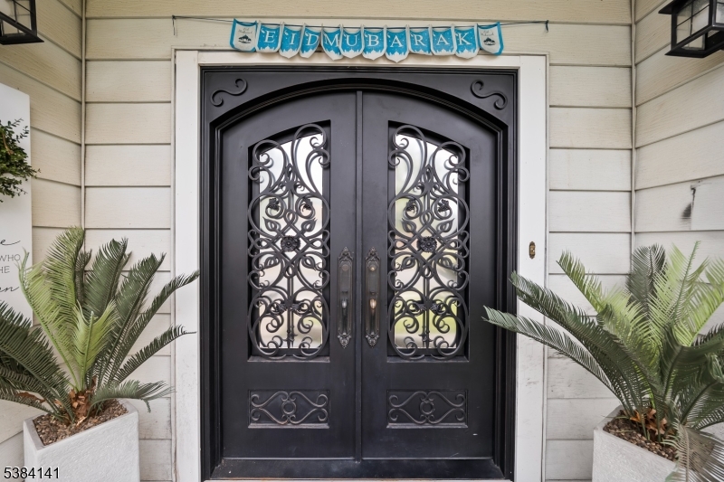 Beautiful main custom door