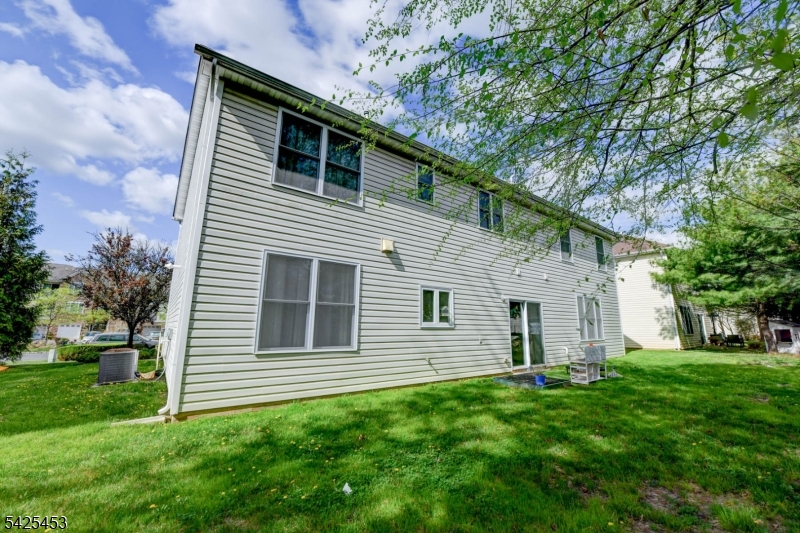 Rear Yard