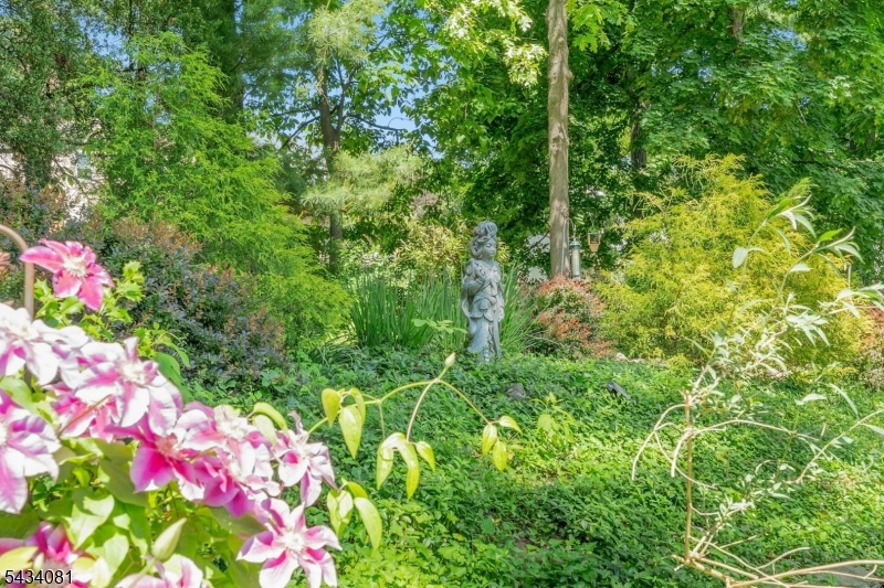 perennial garden