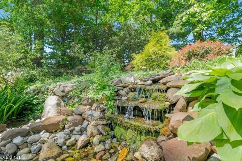 water feature