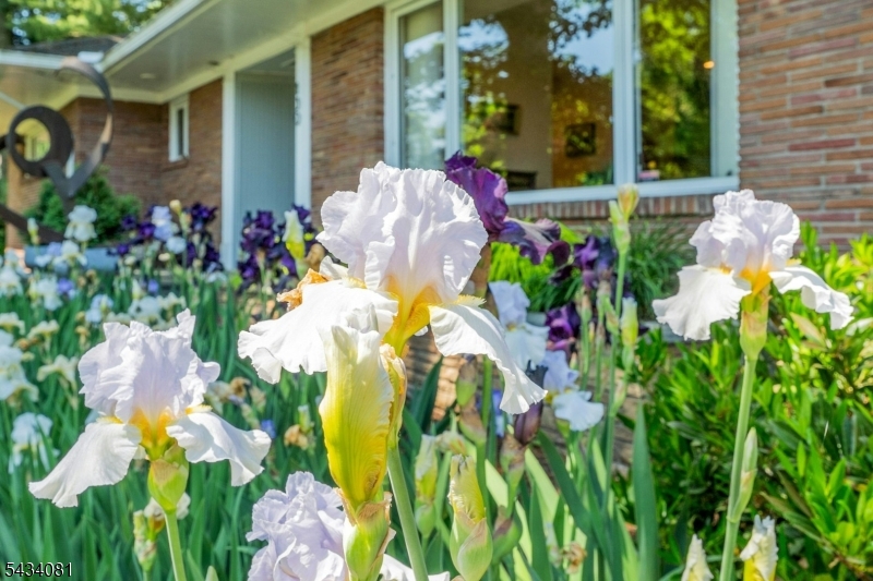 Curb appeal