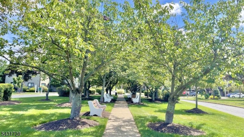 Park-Like Community