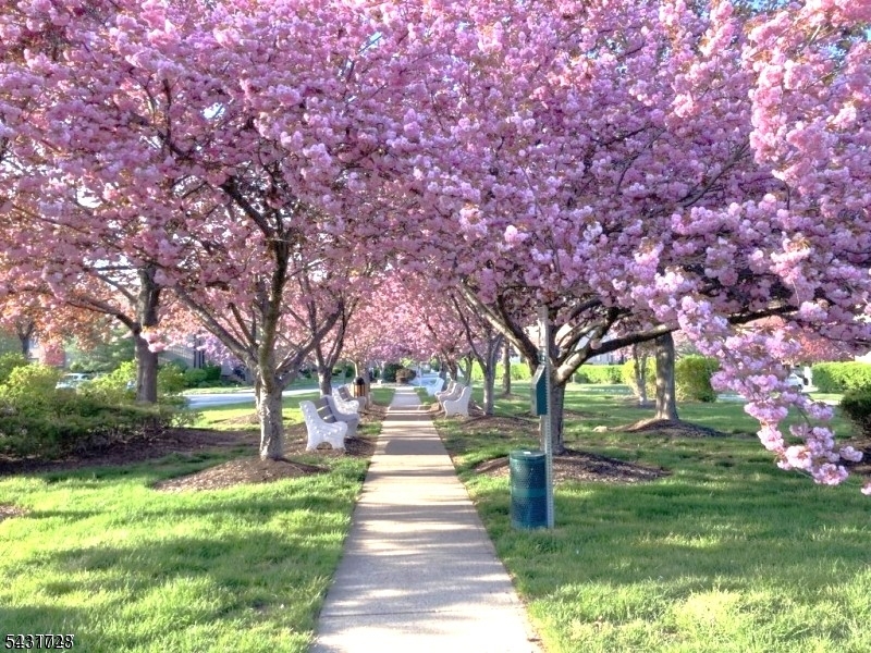 Park-Like Community in Spring