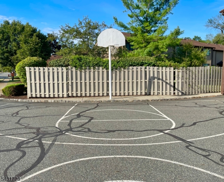 Basketball Court