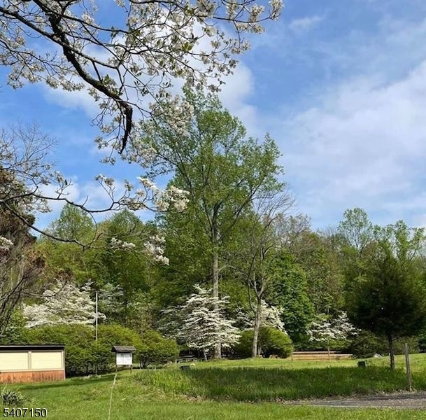 Springtime at Goodland