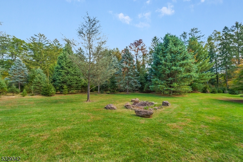 SMALL AREA OF THE 7.68 ACRES