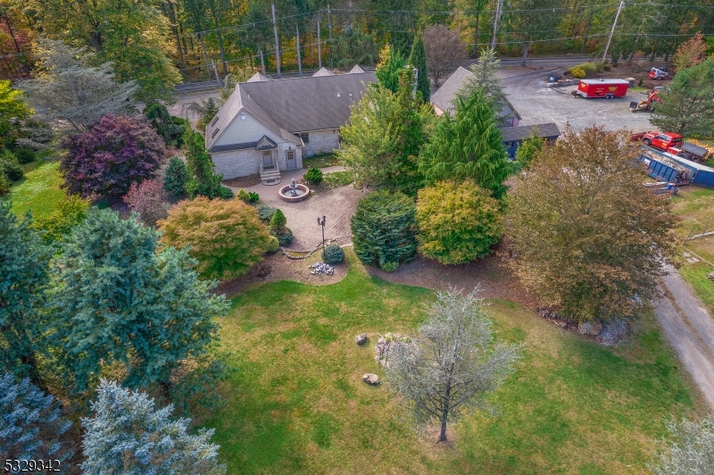 VIEW OF THE BACKYARD